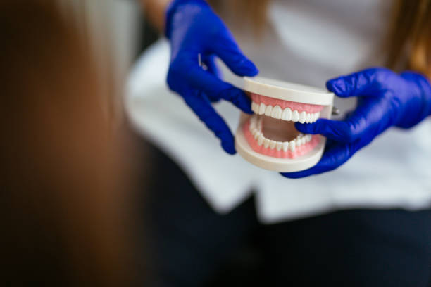 Warren, MN  Holistic Dental Services Company