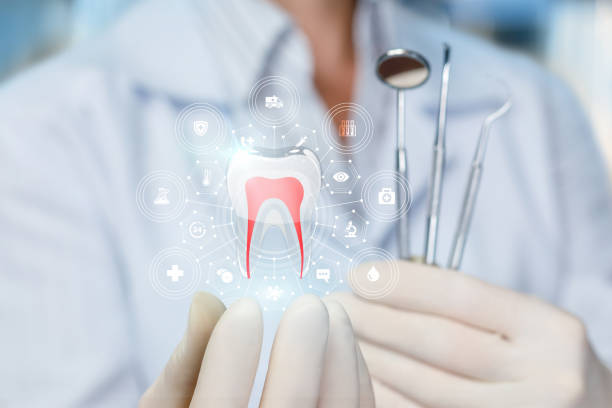 Best Preventive Dentistry  in Warren, MN